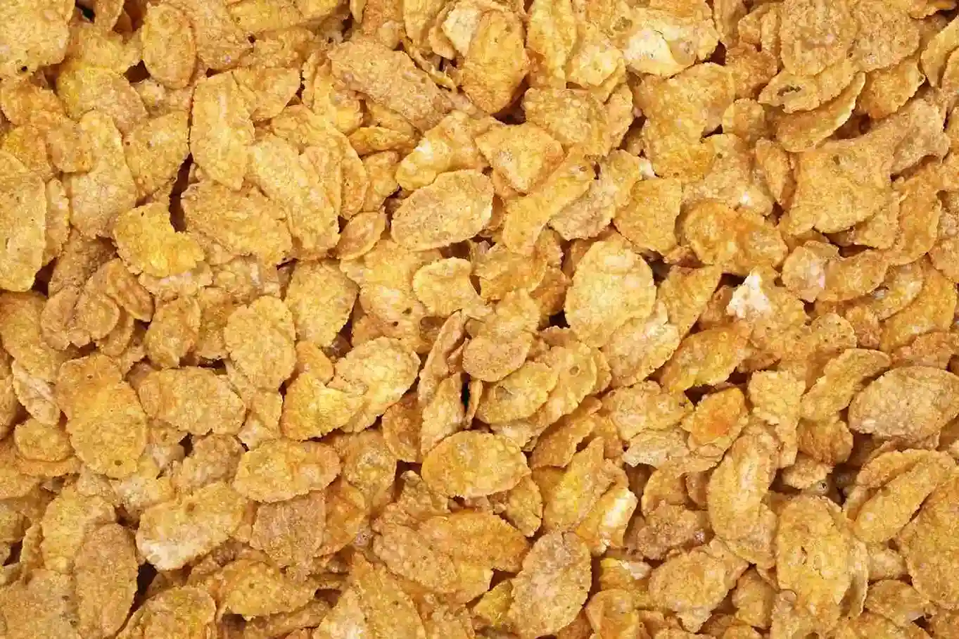 ذرت پرک شده دامی