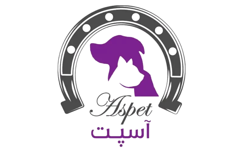 آسپت